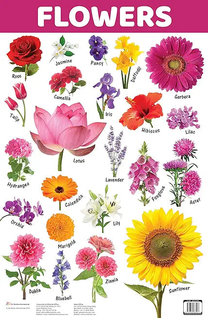 Charts: Flowers Charts (Educational Charts for kids) Wall Chart – Kenning